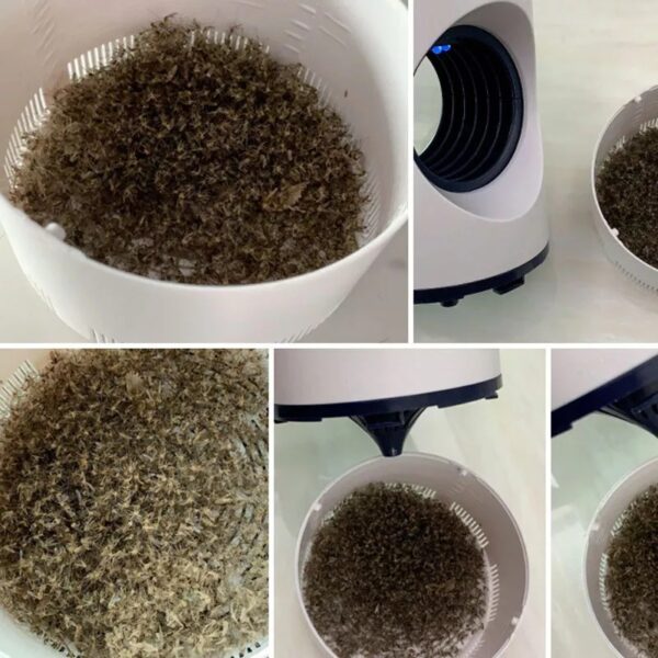 Mosquito Usb Killer Lamp Your Desire