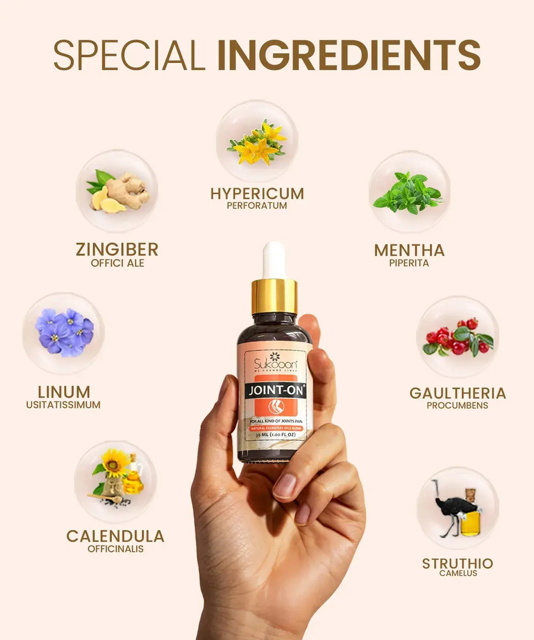 Joint On Oil – Knee & Back Pain Relief My Store