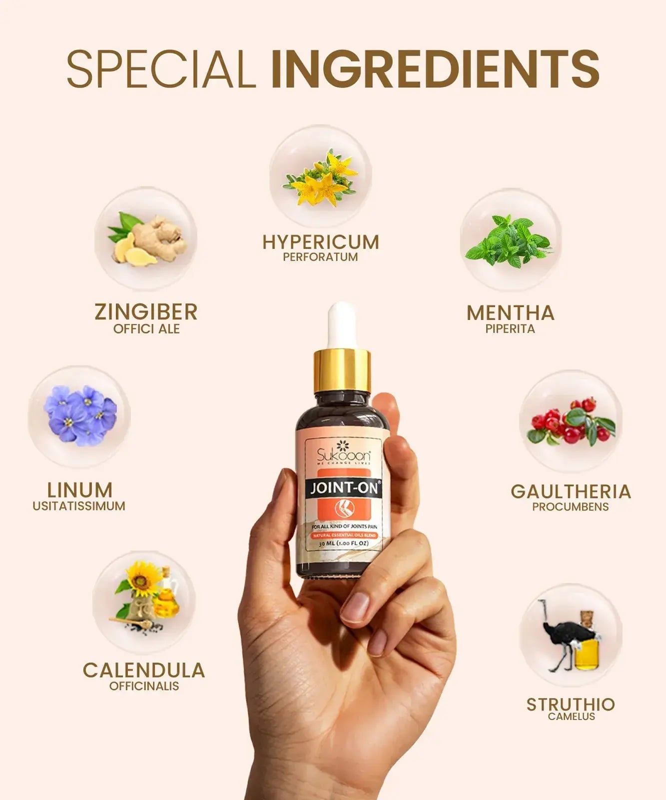 Joint On Oil – Knee & Back Pain Relief My Store